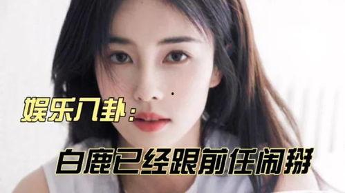 娱乐八卦最新爆料白鹿热,娱乐圈新晋女神白鹿，热度飙升背后的秘密  第1张